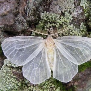 Meet your Posher, Ariana